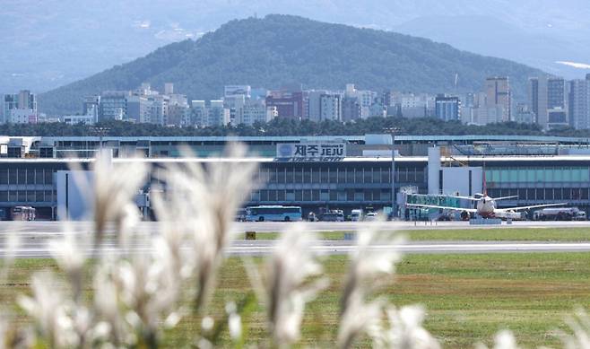2026학년도 대학수학능력시험일인 13일 영어 듣기 평가가 치러지는 동안 제주국제공항에서 운항을 멈춘 항공기들이 대기 중인 모습./사진=뉴시스