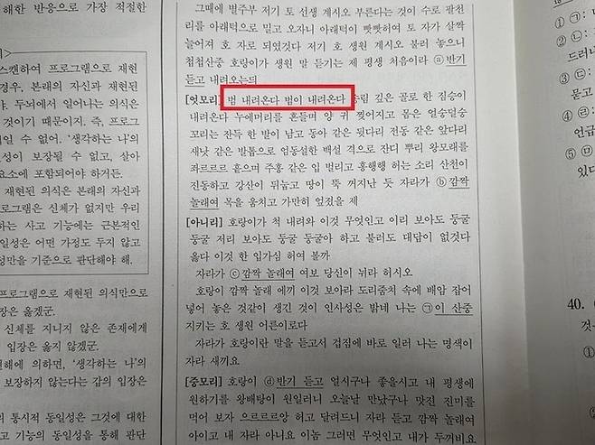 ‘범 내려온다’는 구절이 포함된 2026학년도 수능 국어 문학 영역 지문. 연합뉴스