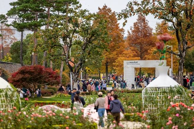 순천만국가정원 가을 모습