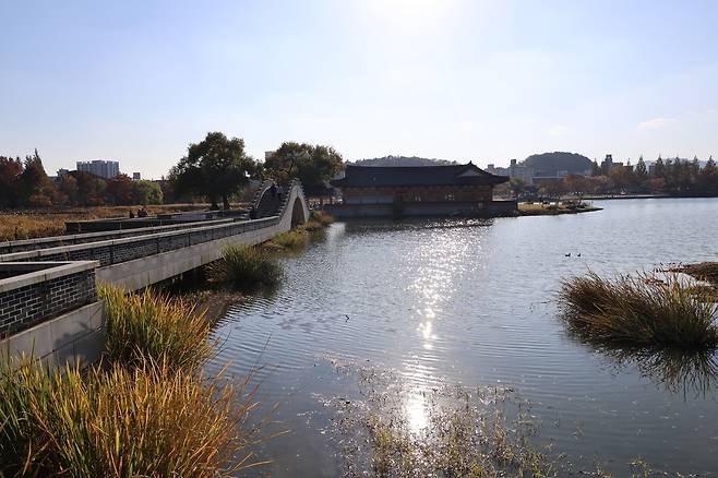 윤슬로 물든 전주 덕진공원 호수 [촬영 : 김동철]