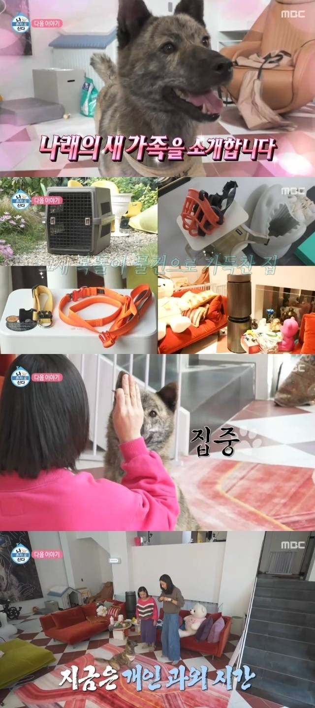 MBC ‘나 혼자 산다’ 캡처