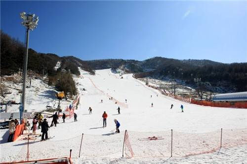 2020년 2월 용인 양지파인리조트 스키장 모습 [파인리조트 홈페이지 캡처. 재판매 및 DB 금지]