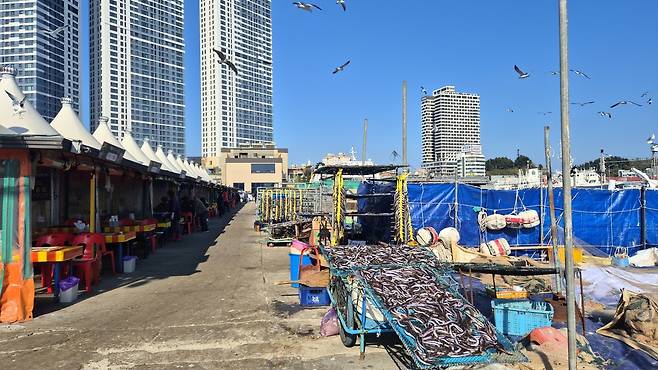 활기 넘치는 속초 오징어 난전 [촬영 류호준]