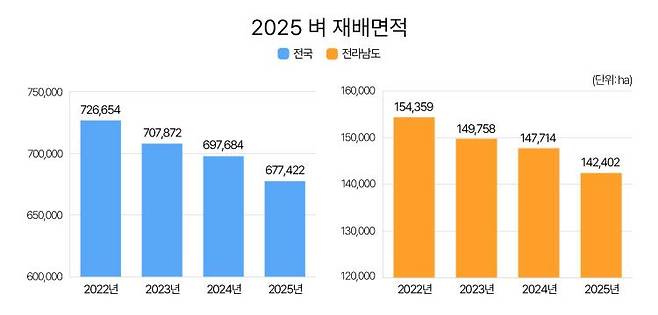 2025년 전국 및 전남 벼 재배면적/그래픽=안재현 인턴 기자 screamsoloo@gmail.com