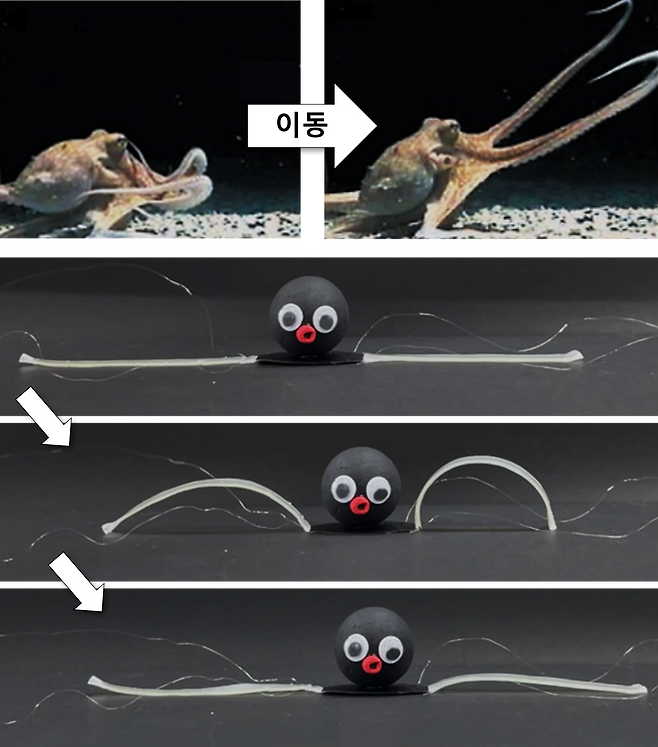 한국과학기술연구원 기능성복합소재연구센터 소속 김대윤 박사 연구팀이 개발한 소프트 로봇 ‘옥토이드’(OCTOID) 설명 자료./KIST
