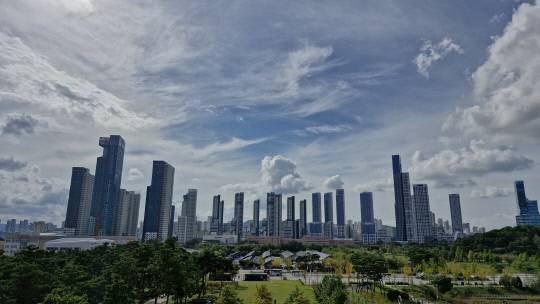 세종시 신도심 아파트 전경. 강대묵 기자