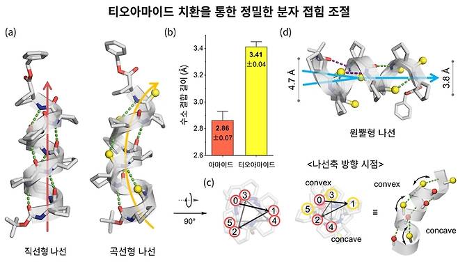 티오아마이드 치환을 통한 정밀한 분자 접힘 조절