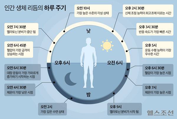 그래픽=김민선