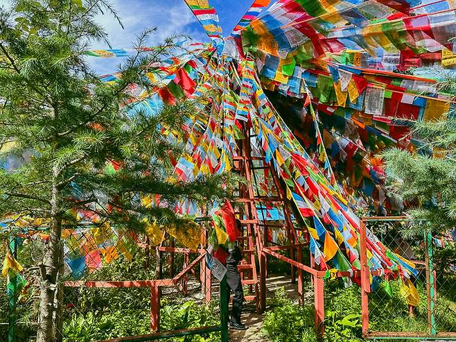 다바오 사원의 모습 / 사진=권효정 여행+ 기자