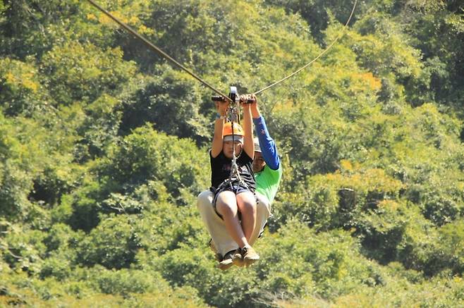 사진 = 미다스북스