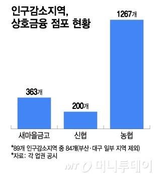 인구감소지역, 상호금융 점포 현황/그래픽=이지혜