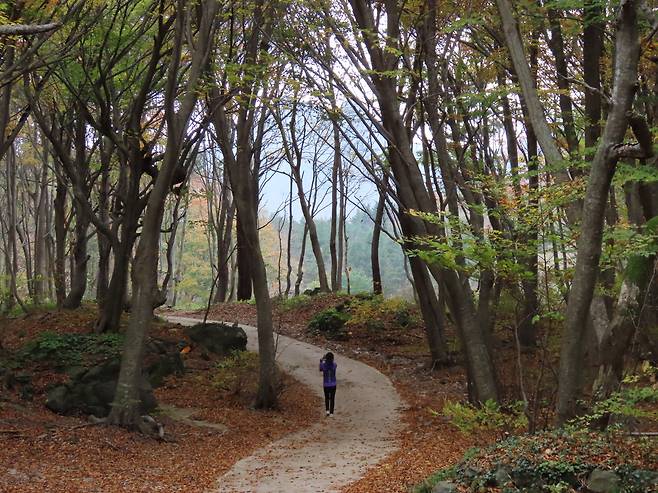 트레킹하기 좋은 알봉둘레길.