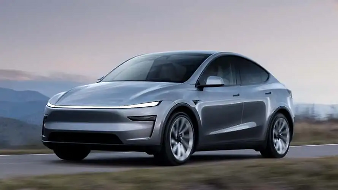 테슬라 `모델 Y`