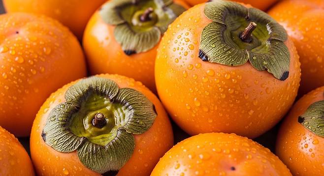 제철 '감'은 맛뿐만 아니라 영양까지 풍부하다｜출처: Gemini 생성