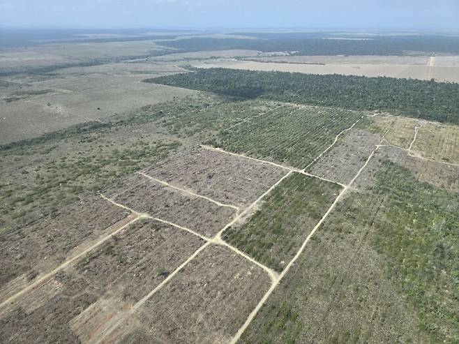 13일 브라질 벨렝에서 비행기로 1시간여 떨어진 파라주 원시림이 농경지 조성을 위해 파괴된 모습. 벨렝/옥기원 기자 ok@hani.co.kr