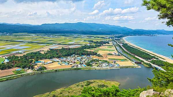 발아래 덕천마을과 고래불 해안, 멀리 칠보산.