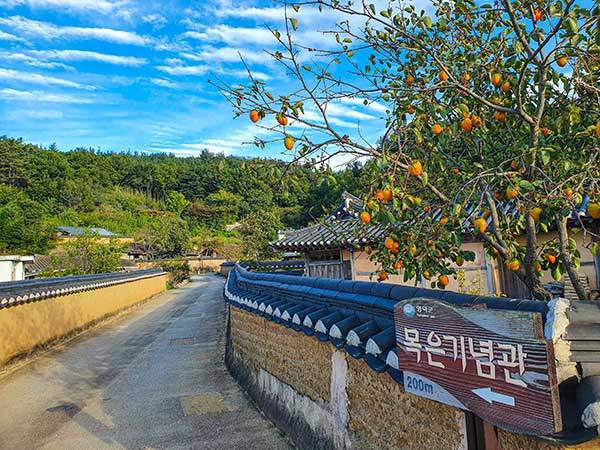 괴시리 전통마을.