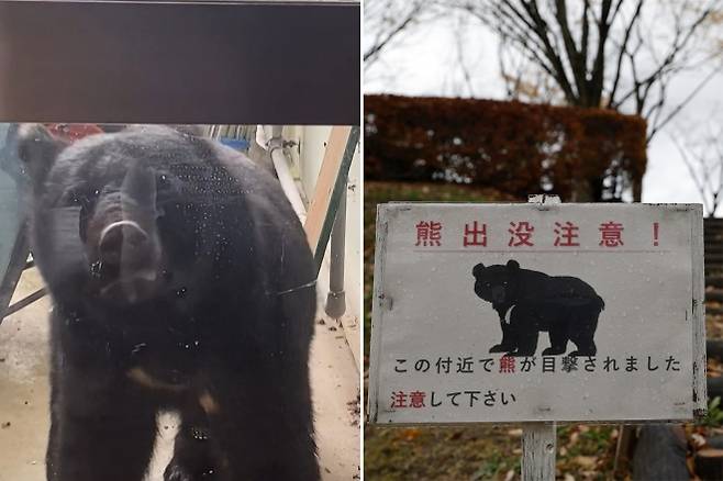 왼쪽은 2025년 10월 14일 일본 이와테현 하나마키의 사사마 유치원 밖에 나타난 곰의 모습. 당시 약 40명의 어린이가 실내에 있던 상황으로, 최근 일본에서는 곰이 학교·주택가·상점가까지 잇따라 출몰하고 있다. 오른쪽은 잦은 곰 목격으로 출입이 제한된 아키타현 센슈공원에 설치된 경고 표지판의 모습. 일본에서는 올해 4월 이후 곰 습격 사망자가 13명으로 역대 최다를 기록했다. AFP·EPA 연합뉴스