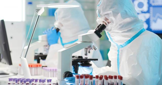 클립아트코리아