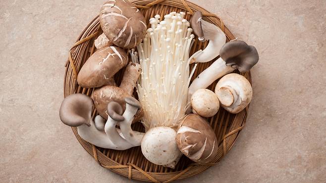 버섯에는 다양한 건강 효능이 있다｜출처: 클립아트코리아