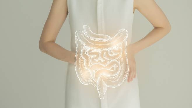 버섯을 섭취하면 장 건강 개선과 면역력 증강에 도움이 된다｜출처: 게티이미지뱅크