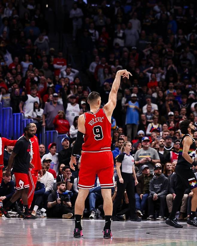 니콜라 부세비치