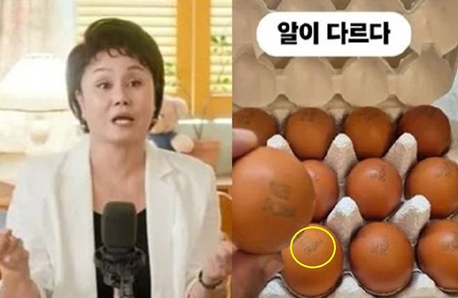 이경실이 판매하는 달걀이 난각번호 4번임에도 30구 1만5000원 가격을 받는다는 논란이 커지고 있다. 조혜련의 SNS 홍보 이후 사육환경과 가격 적정성 논쟁이 이어지고 있다. 조혜련 SNS 캡처