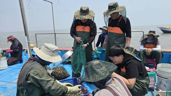 지난 5월 인천 귀어학교 5기생들이 인천 옹진군 영흥면 선재어촌계 어장에서 어업 체험을 하고 있다. 사진 인천시 수산기술지원센터