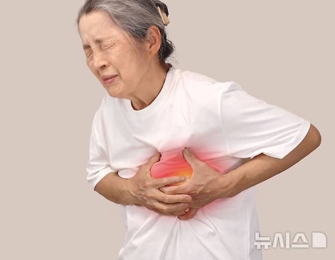 [서울=뉴시스] 죽상동맥경화증은 나이가 들면서 몸 속 혈관 가장 안쪽 막인 내막에 콜레스테롤과 염증 세포들이 쌓여 혈관 직경이 좁아지는 질환을 말한다. (사진= 유토이미지 제공)