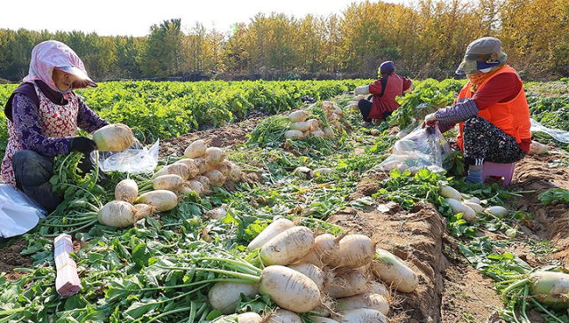 사진은 해당 기사와 무관함. 연합뉴스