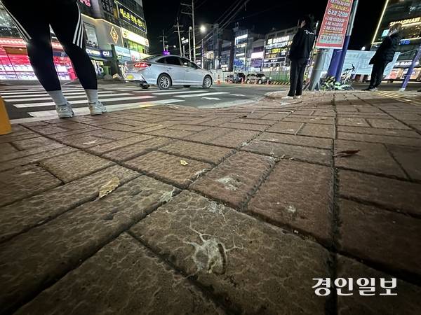수원시 영통구 아주대삼거리 인근 인도가 떼까마귀 배설물로 뒤덮여 있다. 2025.11.11 /목은수기자wood@kyeongin.com