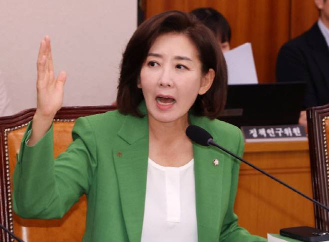 나경원 국민의힘 의원이 내년 지방선거와 관련 윤어게인 및 부정선거론자의 표를 품겠다고 밝혔다. (사진=뉴시스)