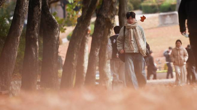 17일 대구 북구 경북대학교 캠퍼스에서 한 학생이 목도리를 착용하고 이동하고 있다. (사진=연합뉴스)