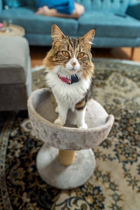 게티이미지뱅크