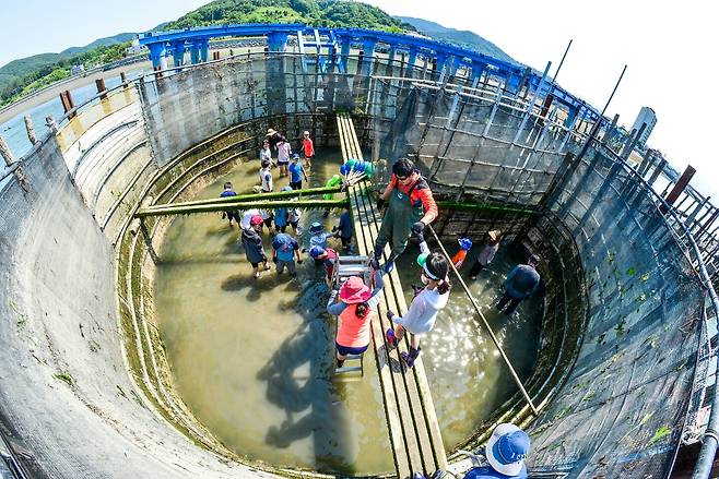 People take part in jukbangryeom fishing to catch anchovies in Namhae County in South Gyeongsang in an undated photo. [NAMHAE COUNTY OFFICE]