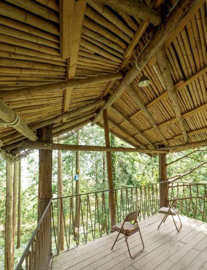 편백나무 숲을 감상하는 트리하우스 겸 원두막 내부.