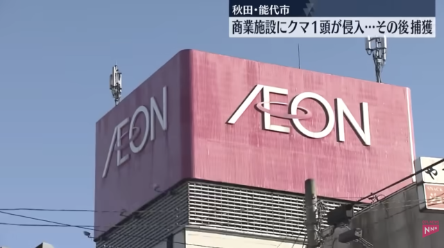 닛테레 NEWS 갈무리