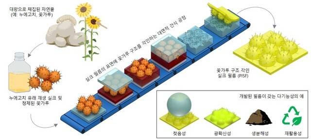 박준용 국립금오공과대학교 재료공학부 교수 연구팀이 개발에 성공한 미세플라스틱 걱정없는 자연 유래의 고기능성 필름 연구 모형. 국립금오공대 제공
