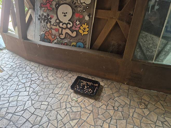 17일 서울 중구 필동문화예술거리 컨테이너 안에 캣맘이 두고 간 고양이 사료가 보인다. /임희재 기자
