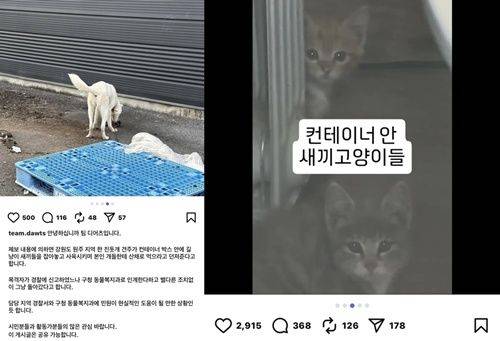 ⓒ디어츠 SNS 갈무리