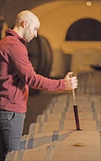 부지 내 와이너리의 바리카이아(오크 배럴 숙성고).