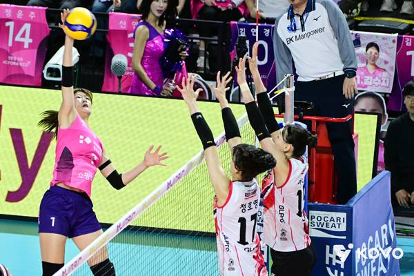 흥국생명은 김다은을 비롯한 여러 아웃사이드 히터를 기용하고 있다. 사진 제공= KOVO