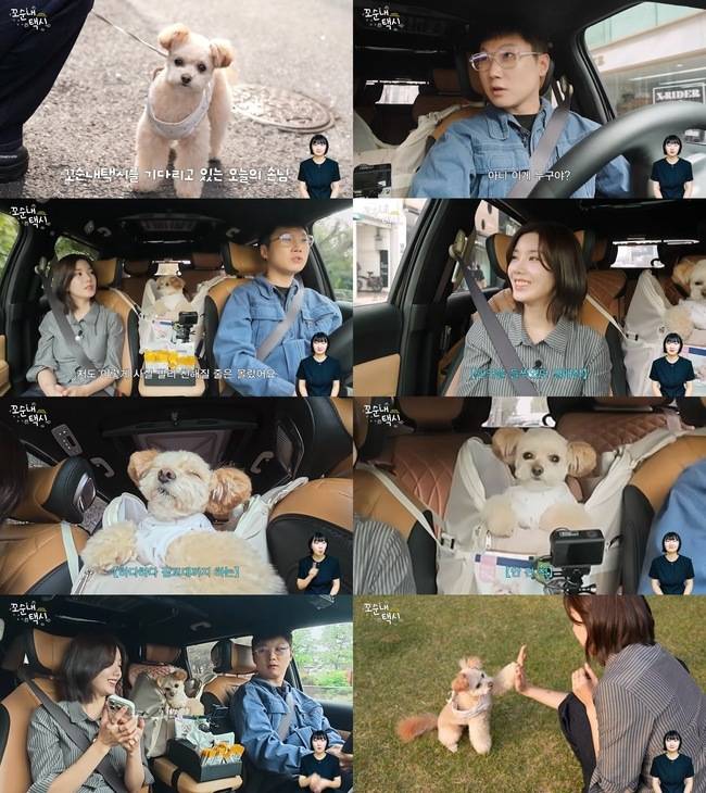 ‘꼬순내택시’ 4화 영상 캡처
