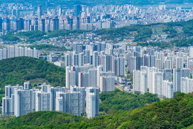 도심 숲에 사는 곰팡이가 다양할수록 인근 주민의 천식이나 알레르기 염증 반응이 줄어드는 것으로 나타났다. 사진은 기사의 특정 사실과 관련 없음. 클립아트코리아