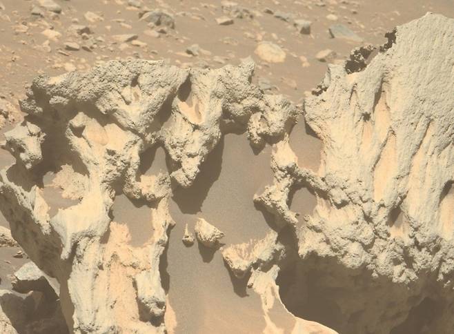 퍼서비어런스가 화성에서 발견한 운석인 ‘핍삭슬라’(Phippsaksla) 클로즈업 이미지. NASA/JPL-Caltech/ASU