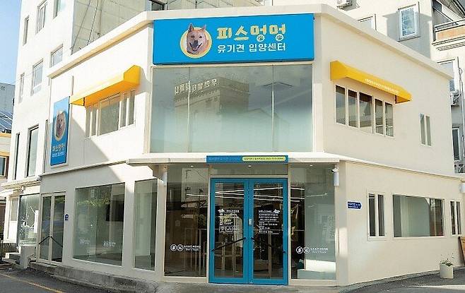 7월 30일 광주광역시 동구에 문 연 유기견 입양센터. 동구청은 ‘위기브’와 협력해 도심형 유기견 보호센터 설립 캠페인을 진행, 시민 참여를 확대하며 ‘유기견 안락사 제로(0)’에 도전하고 있다. 광주광역시 동구청