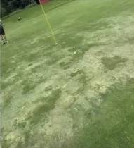 지난 10월 뷰익 LPGA 상하이 대회가 열린 치중 가든 골프클럽의 그린. SNS 캡처