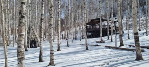 인제 원대리 자작나무숲 겨울풍경