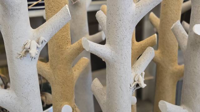 ▲정두섭 도예가 백자 작품의 상징 청개구리.