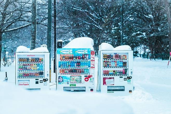 일본 삿포로.  /사진= 언스플래쉬